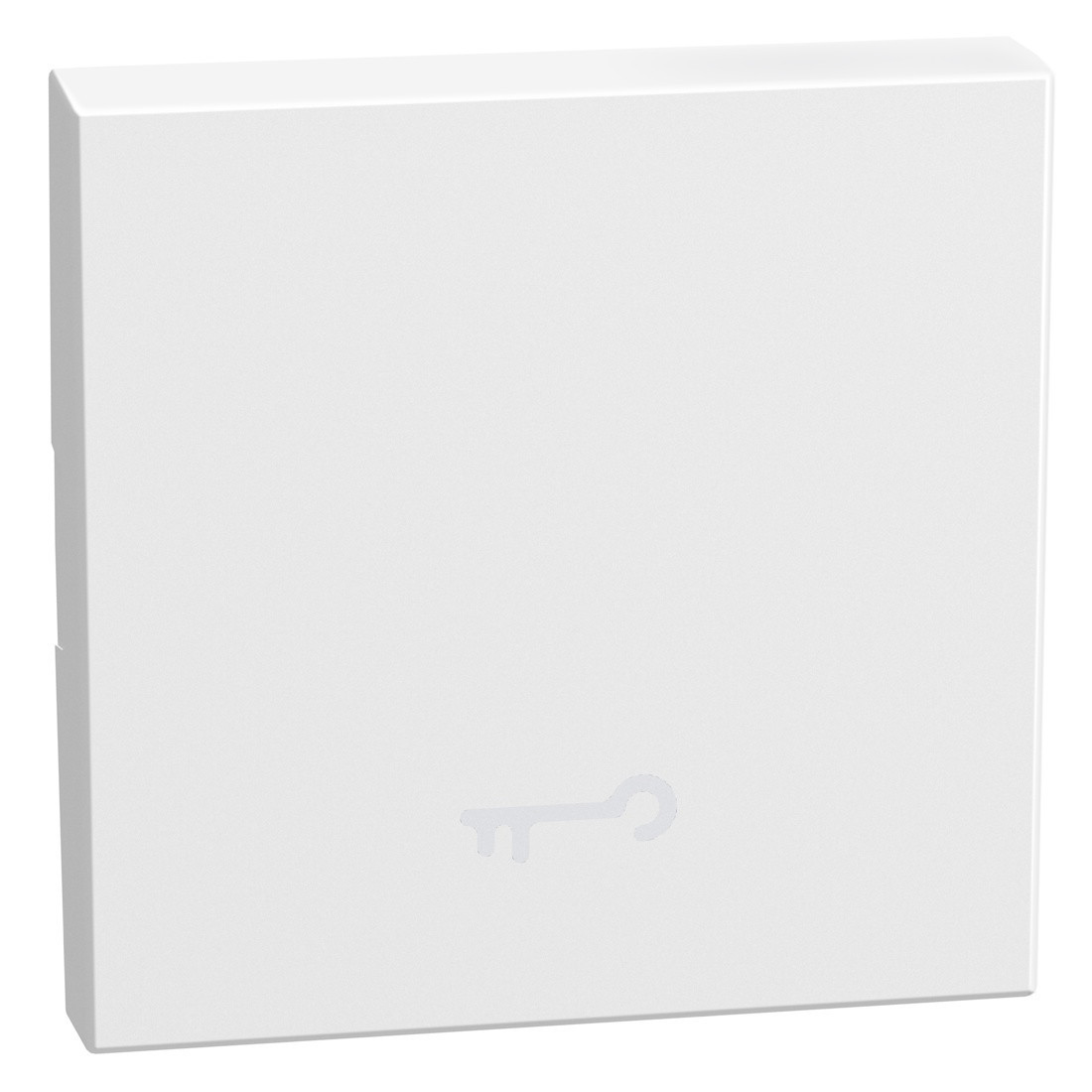 BTicino Schakelmateriaal Light Now toets met pictogram sleutel 2 modules - wit