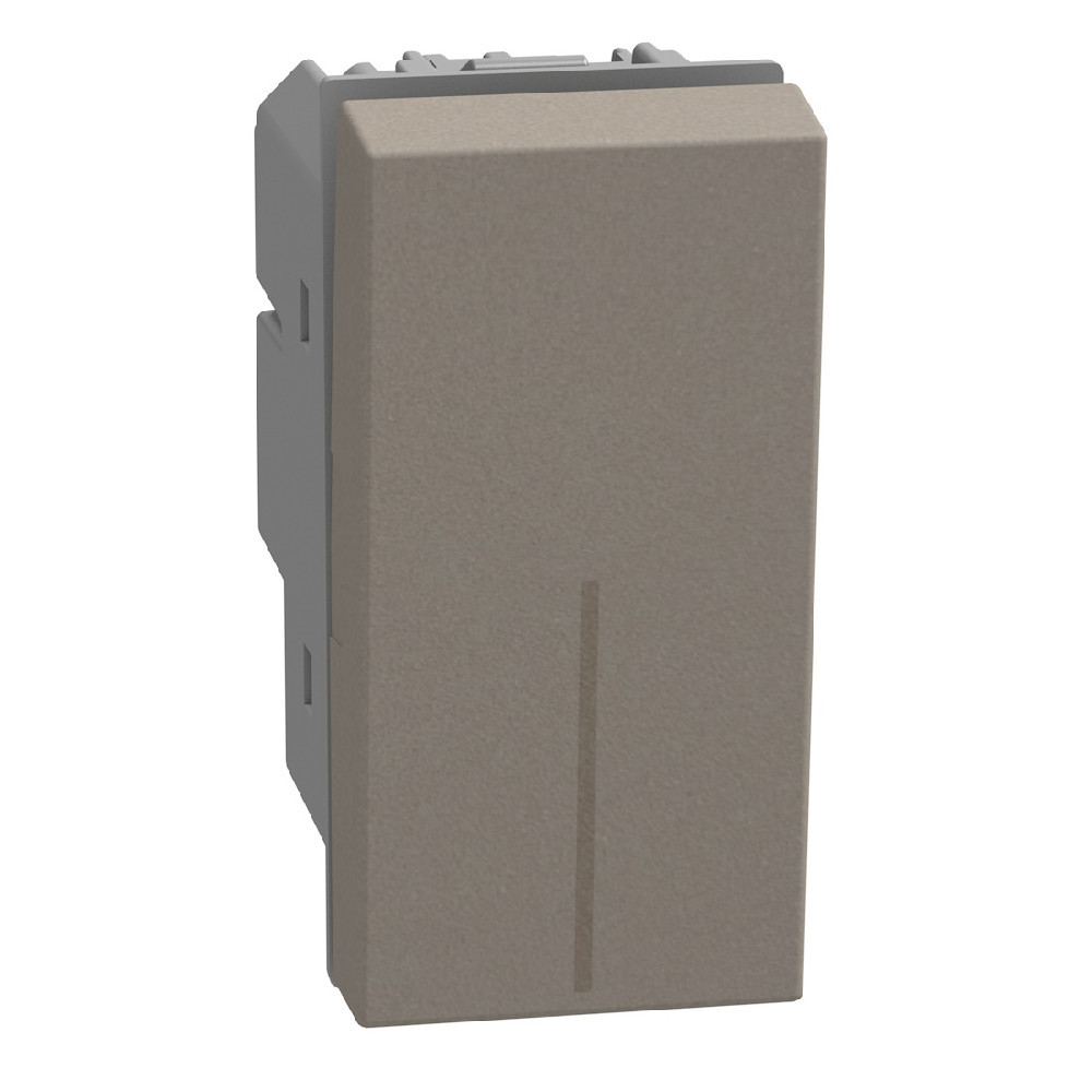 BTicino Schakelmateriaal Light Now tweepolige schakelaar - 16ax - 1 module - stone