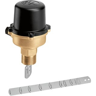 Caleffi STROMSCHAK 1"