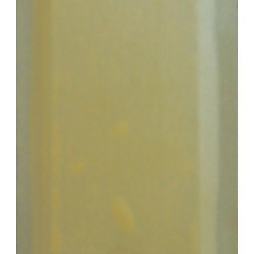 Carlo Gavazzi CG thermal pad afm. 35MMX42MM (50 stuks)