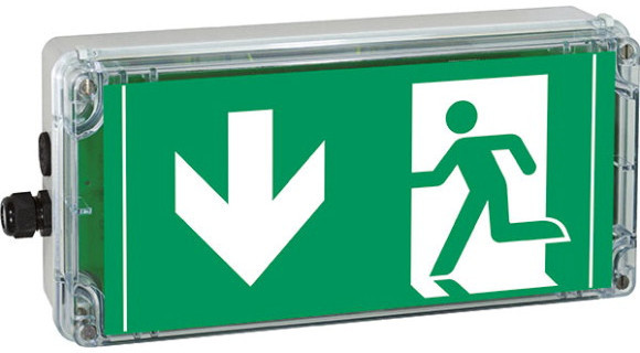 Ceag Crouse-Hinds series Ex-Vluchtrouteverlichting uit, pictogram conform iso 7010 (pijl 6 H)