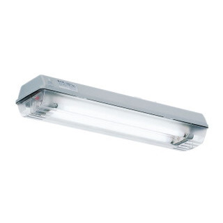Ceag Crouse-Hinds series Flourescent Light fixture