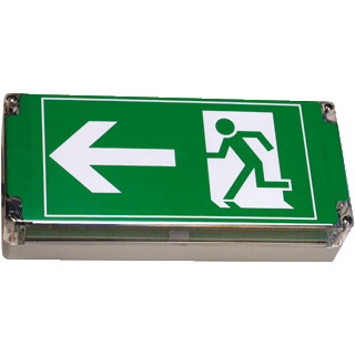 Ceag Signalering lite explosieveilig noodverlichtings- en signaleringsarmatuur led 21 22 centraal 1 2191 030 003