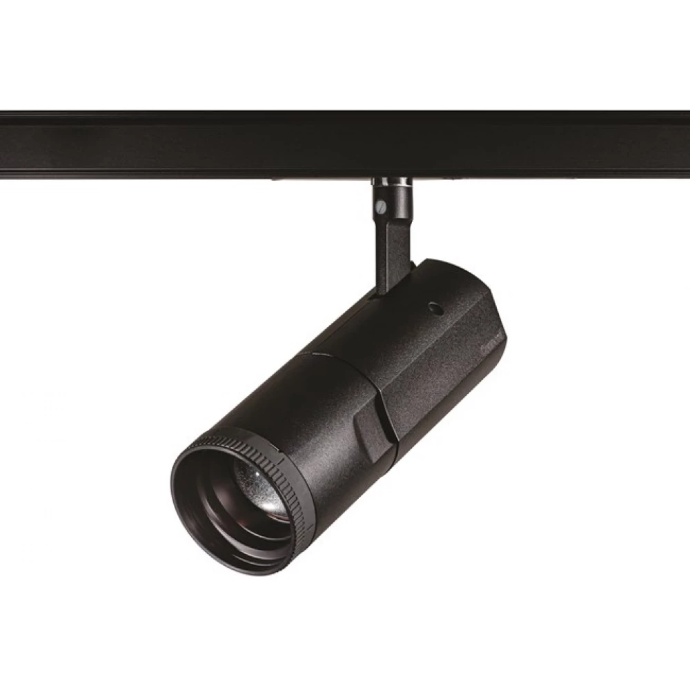 Concord Beacon muse tune dali ZW