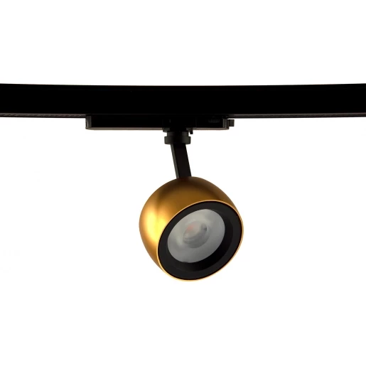 Crown 2000LM 830 PH-C 3F 36° BL/GLD