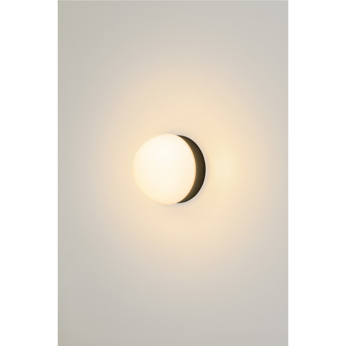 CYFT, wand- en plafondopbouwarmatuur, 2700/3000/4000K, 6,5 W, phase, Z CYFT, wand- en plafondopbouwarmatuur, 2700/3000/4000K, 6,5 W, phase, Z