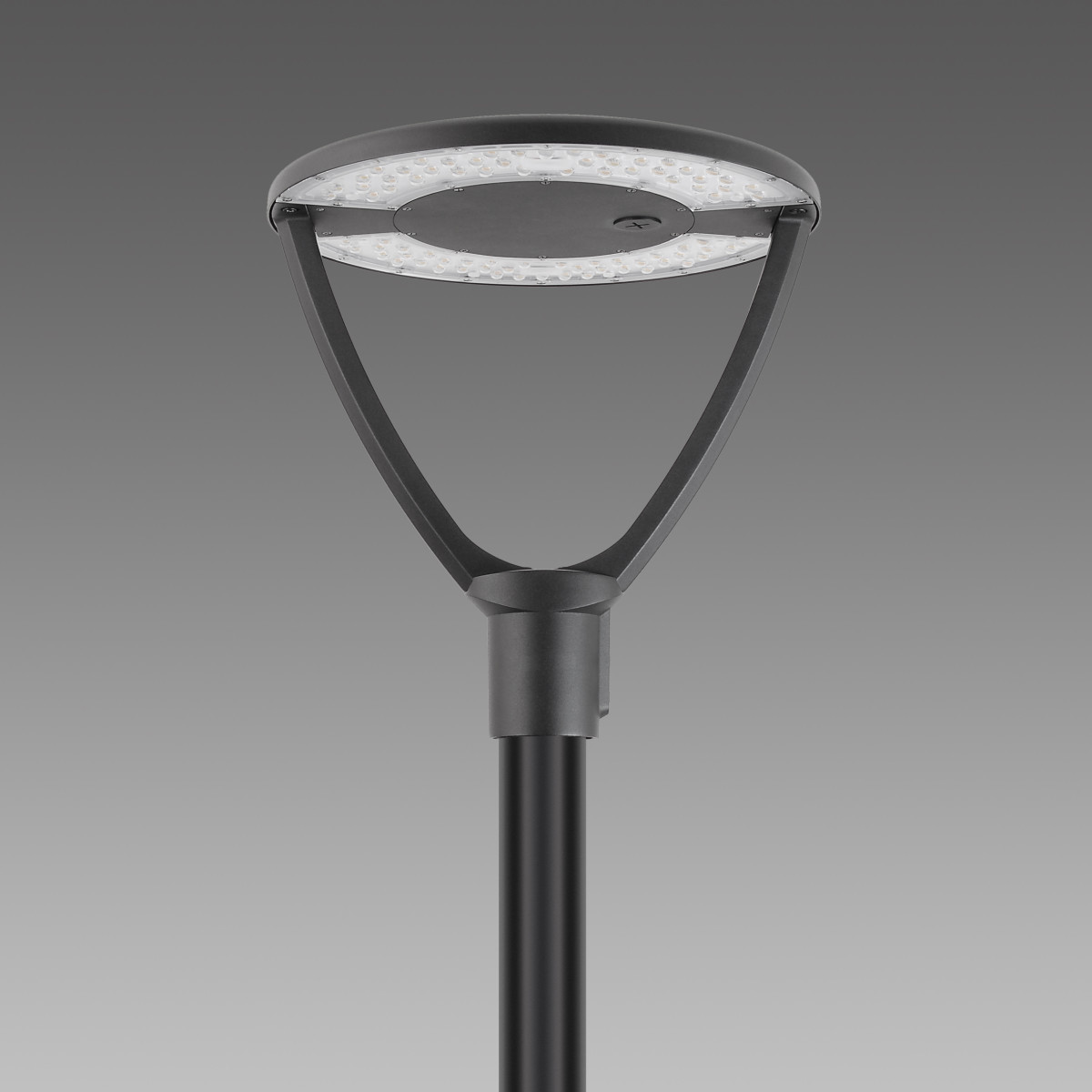 Disano 1590 Braies CLD CCT+PS SYMM ZW