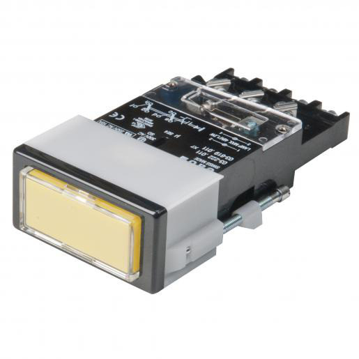 Eao 03-619 schak+lamp 2-wis var 24x48