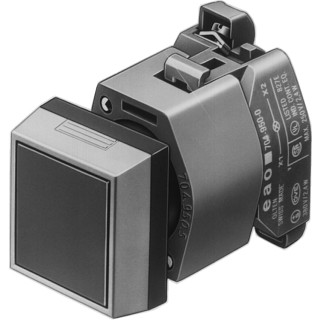 EAO SIGNDRKNP VK RD HOUD    XD