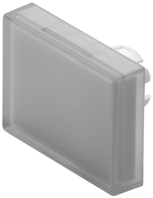 EAO LENS  ZWART18X24 61-9781.0