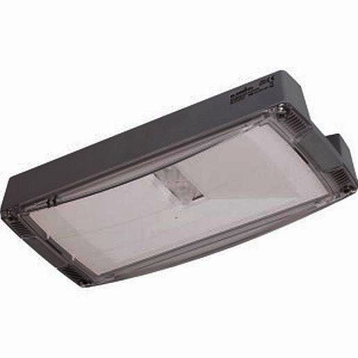 Eaton Blessing atlantic noodverlichtingsarmatuur O-LT-CG-S led ip40