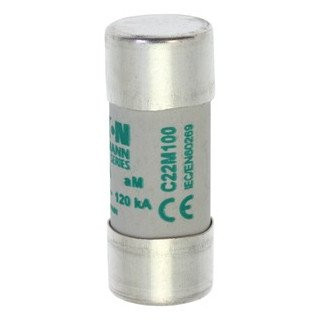 Eaton Cilinderzekering 100 A ac 500 V 22x58 MM am iec met ontvanger