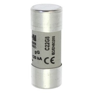 Eaton Cilinderzekering 8 A ac 690 V 22x58 MM GL/GG iec met ontvanger