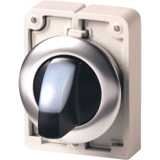 Eaton Signaalkeuzeschakelaar 30MM vlak wit 2 standen terugverend