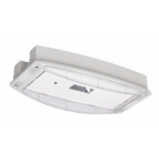 Eaton Blessing cgline noodverlichtingsarmatuur diepstralend led ip40