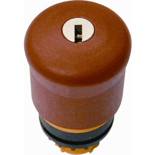 Eaton Nood-uit 38MM 0M+0V sleutelontgrendeld onverlicht