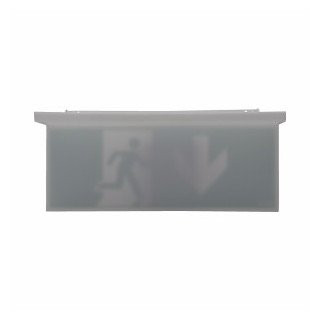 Eaton Blessing nexitech paneel noodverlichting opal iso (C+Z) acrylglas plaat naar beneden