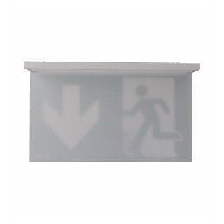 Eaton Blessing nexitech paneel noodverlichting opal iso (C+Z) acrylglas plaat naar beneden