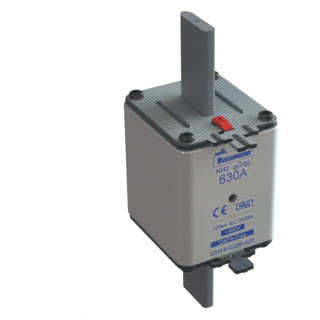 Eaton Bussmann low voltage smeltpatroon (mes) NH2 combikenmelder 315a