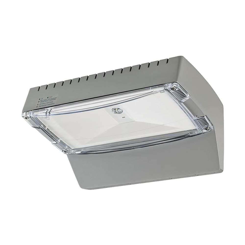 Eaton Outdoor Noodverlichting, wand, decentr., at/CGL+, ip65, -20C, vluchtrouteverl.