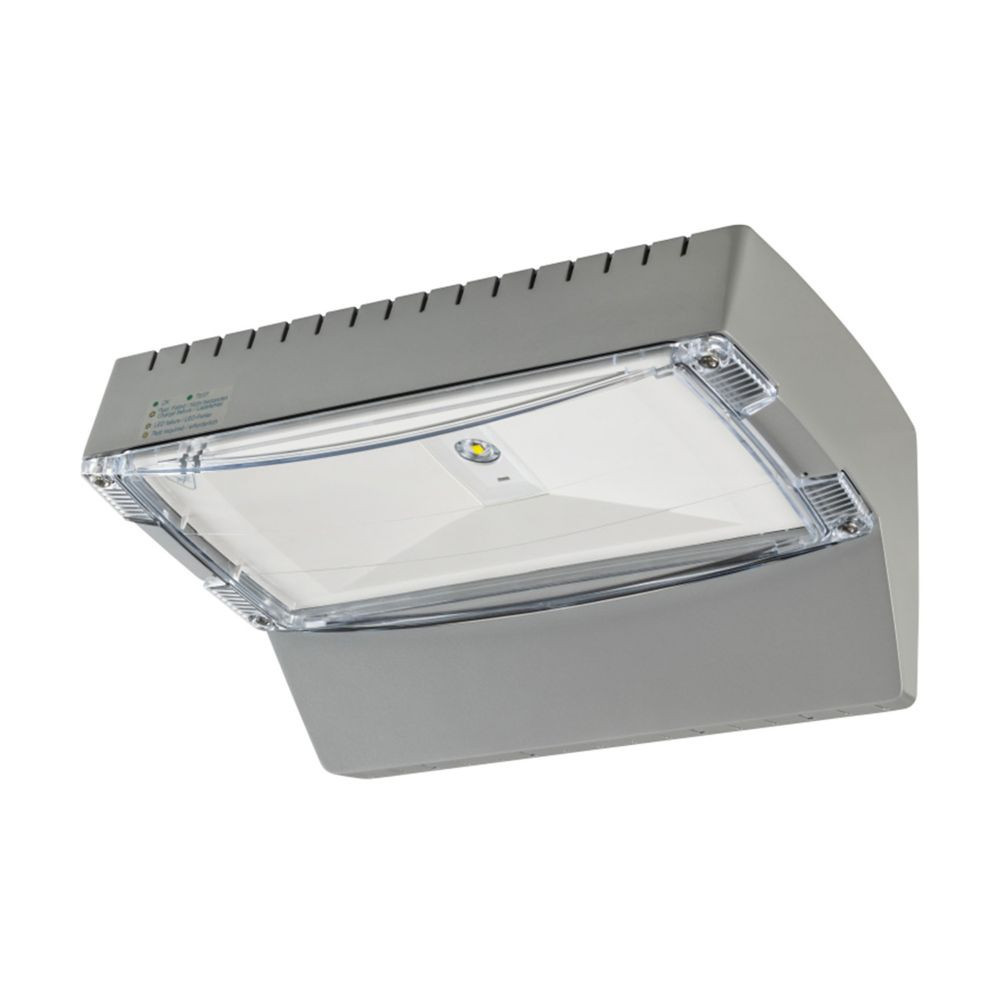 Eaton Outdoor Noodverlichting, wand, decentr., at/CGL+, ip65, ruimteverlichting SYM.