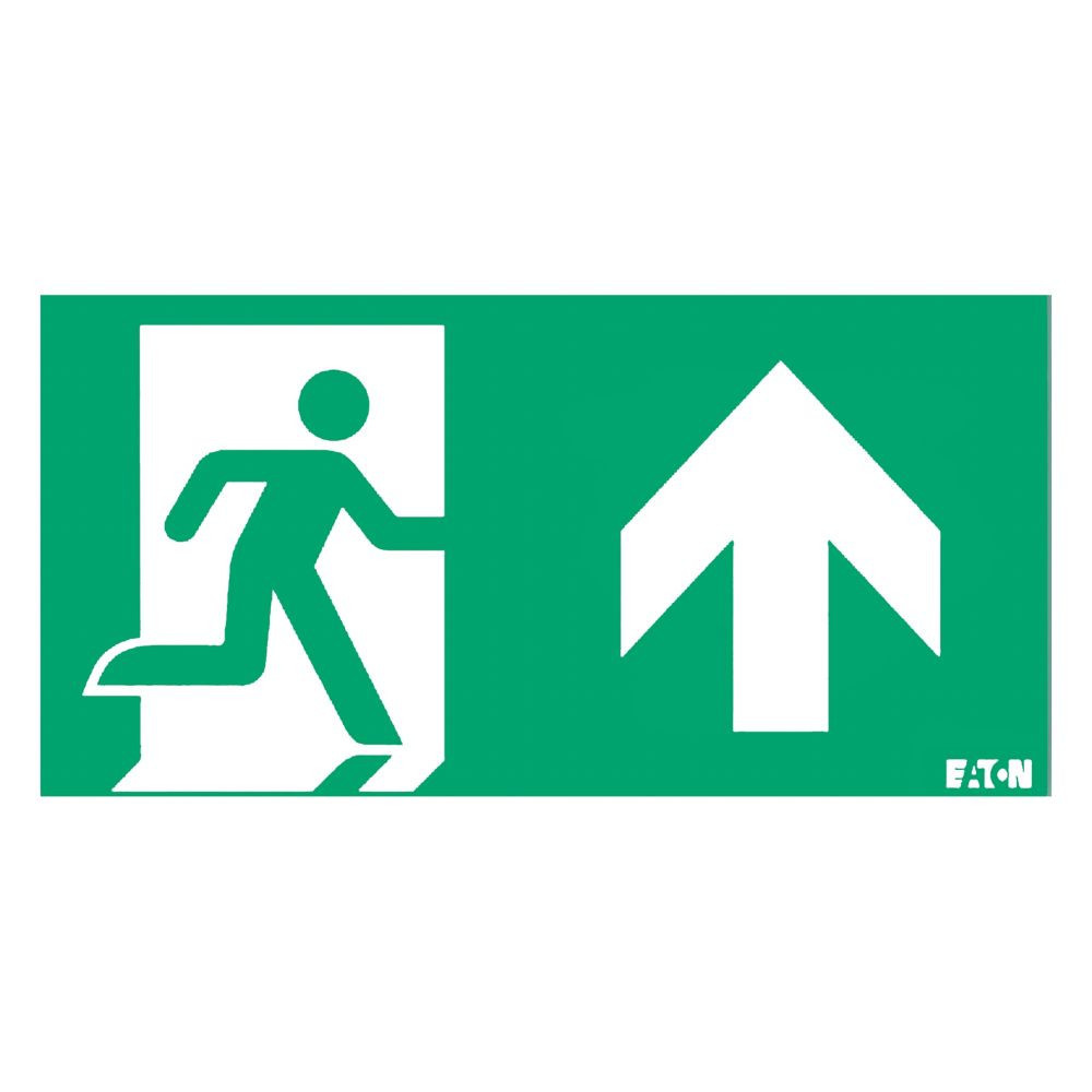 Pictogram (kap) 46000 serie, 60M, iso E, pijl omhoog / rechtdoor