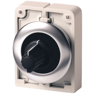 Eaton Potentiometer 30MM RVS vlak 1M blank