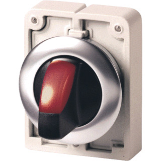 Eaton Signaalkeuzeschakelaar 30MM vlak rood 2 standen terugverend