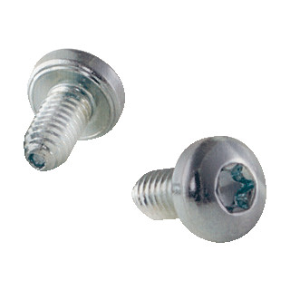 Eldon SCHROEF RVS  M5X10  DS250