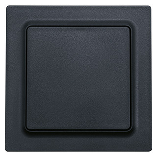 Eltako F2T55 serie Funk-2-kanal-taster mit batterie anthrazit matt E-design55