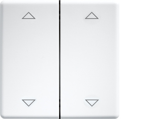 Eltako Funk toebehoren Doppelwippen Lasergraviert FÜR taster und schalter 55er design und E-