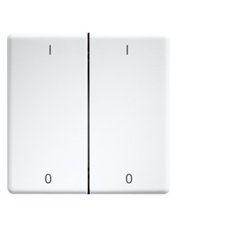 Eltako Funk toebehoren Doppelwippen Lasergraviert FÜR taster und schalter 55er design und E-