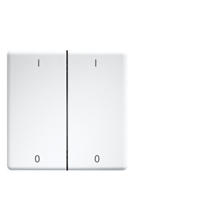 Eltako Funk toebehoren Doppelwippen Lasergraviert FÜR taster und schalter 55er design und E-