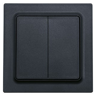 Eltako Funk toebehoren Funktaster Anthrazit matt 55x55mm batterie- und leitungslos mit doppel