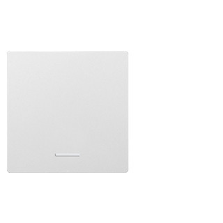 Eltako Funk toebehoren Wippe Lasergraviert FÜR funktaster 55x55mm, reinweiß glänzend E-des