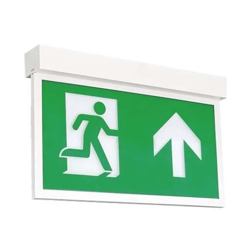 Normalux Ecolight extraline noodverlichtingsarmatuur vluchtwegverlichting/-indicatie plafondopbouw wit ip20 met pictogram