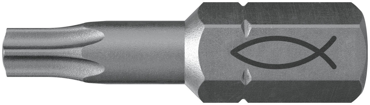 Fischer TX profi bit FPB TX 25 profi bit 10ST