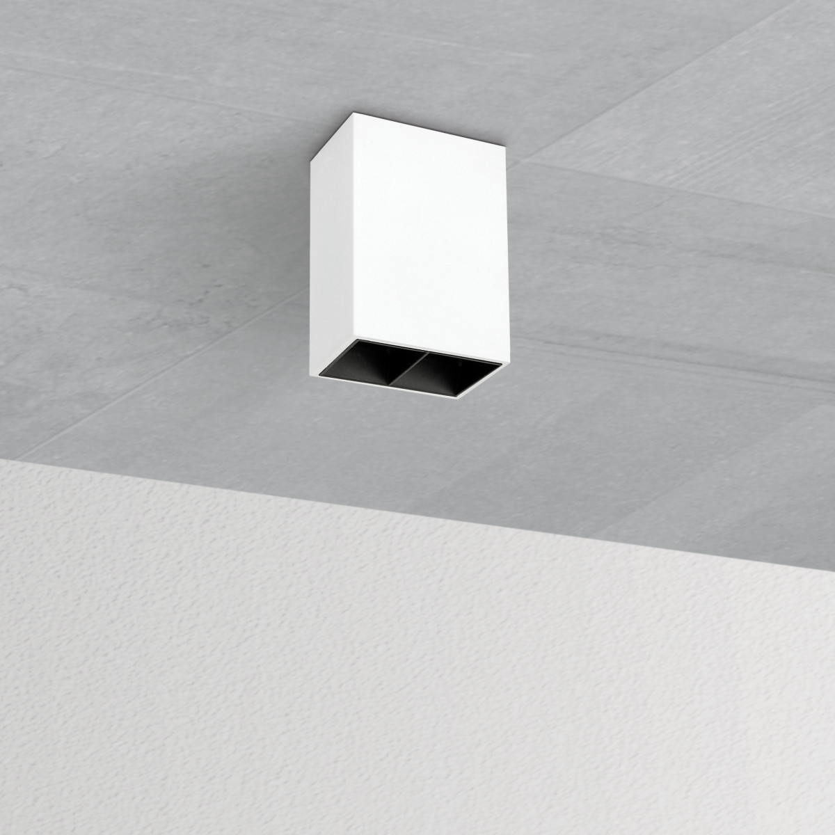 M2 CLD cell wit opbouw