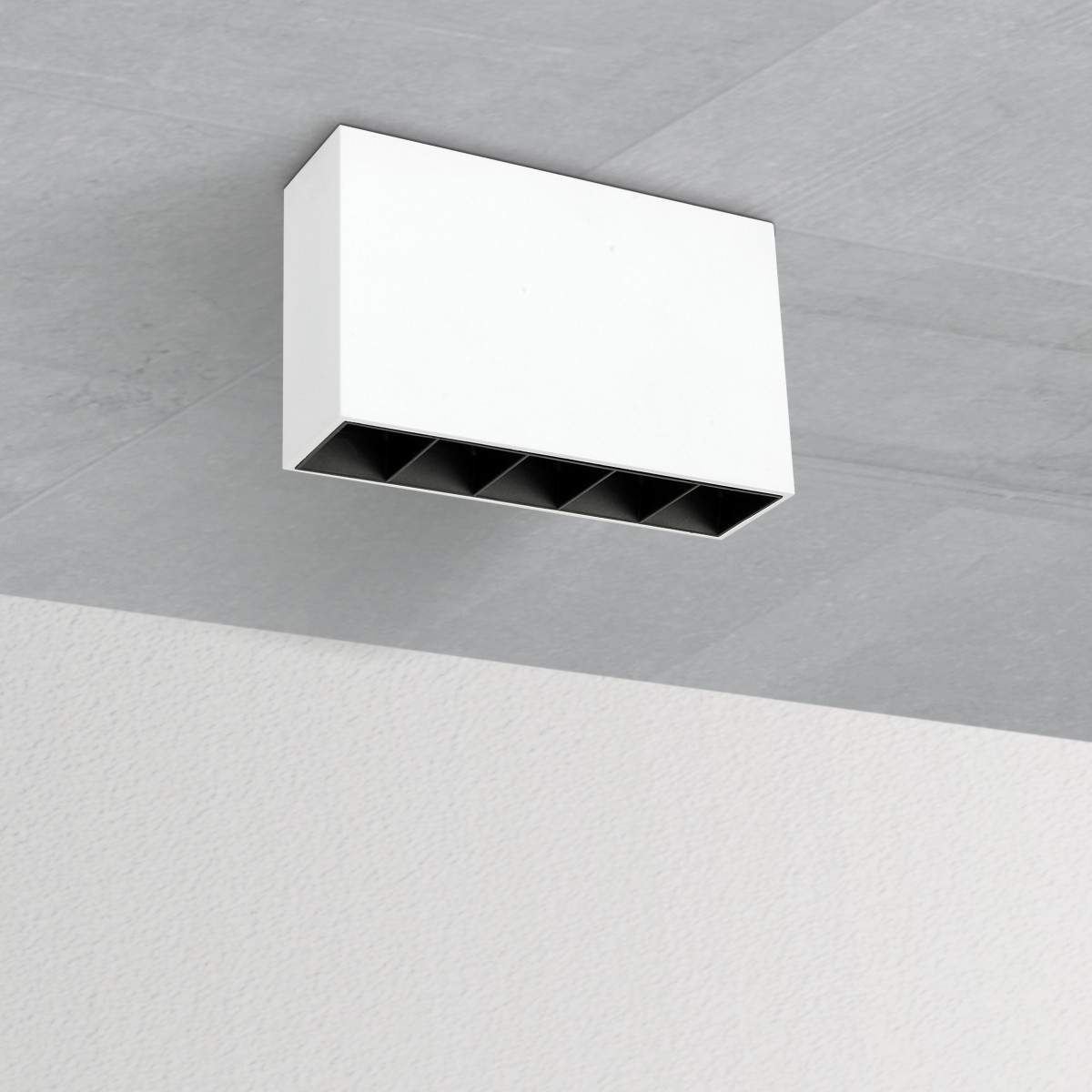 M5 CLD cell wit opbouw