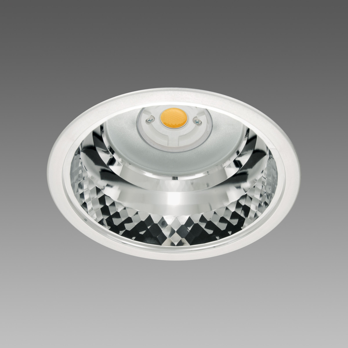 Fosnova OFFICE Office 1 CLD dark dip switch