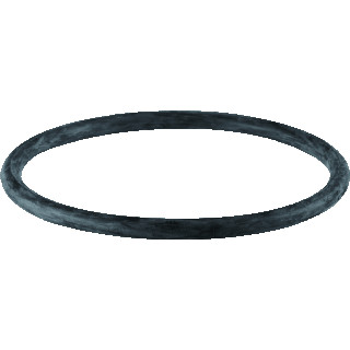 GEBERIT PE 0-RING TBV STEEKMOF 40