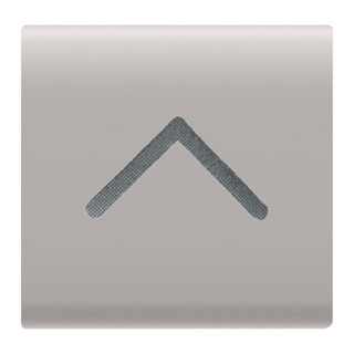 Gewiss CHORUSMART Interchangeable B.key 'V. arrow', bei