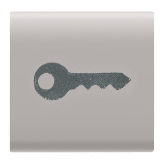 Gewiss CHORUSMART Interchangeable Button key 'key', beige