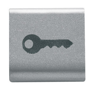 Gewiss CHORUSMART Uitwisselbare Drukknop - 22 X 22 MM - sleutel - titanium - chorusmart