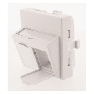 Gigamedia Faceplate 2port 45x45 wit