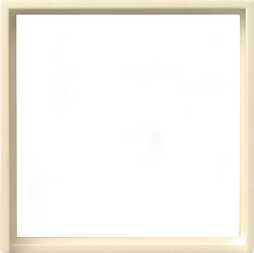 Gira INZPL 50 X 50MM    CWG 55