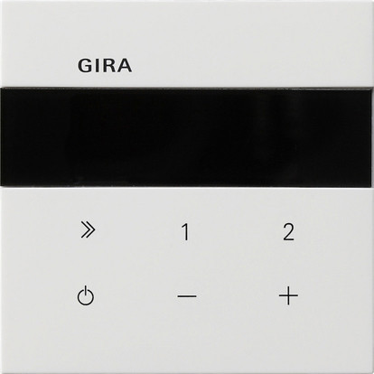 Gira Gira F100 Ib-Radio ip F100 Z.wit