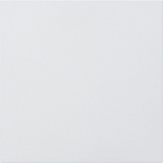 Gira INFO-/BLIND MOD S106 VWIT