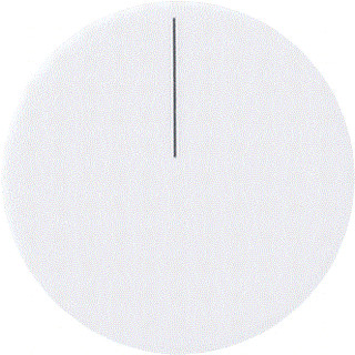 Gira INSTLWL KNX THR+HGR 55WT