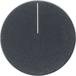 Gira INSTLWL KNX THR+HGR 55ZW